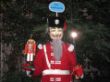 WeihnachtsmarkeröffnungHildeheim15 (8).JPG