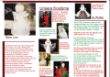 Aktueller Flyer Weihnachten 2010 Innenseite.jpg